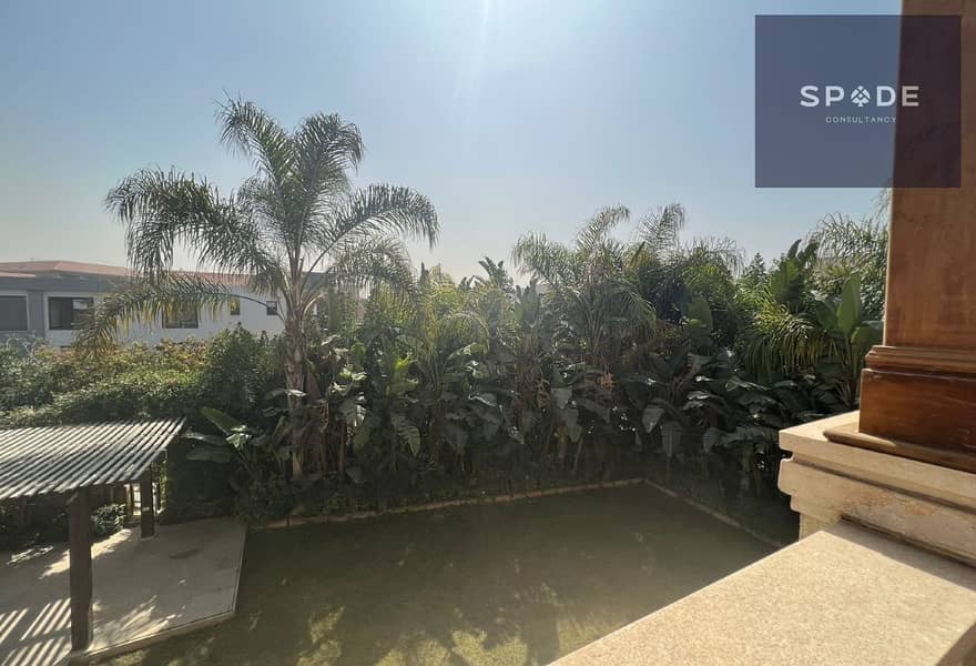 2 3d4e3b92-8999-4654-9f55-909f3a3fecbf. jpg