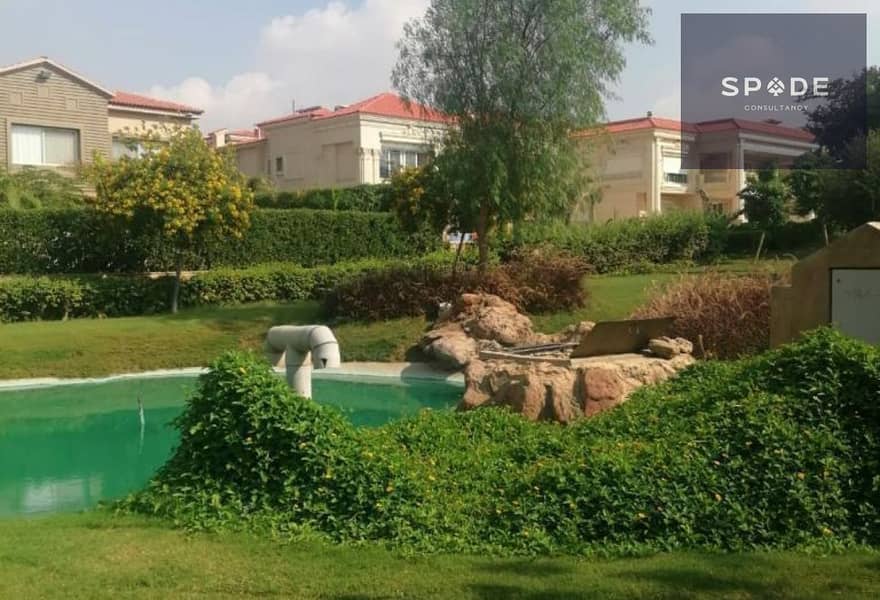 7 37953169-0196-412e-a5ab-4eae6a9b657b. jpg