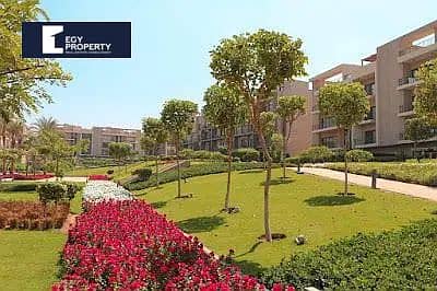 6 154340312-800x600. jpg