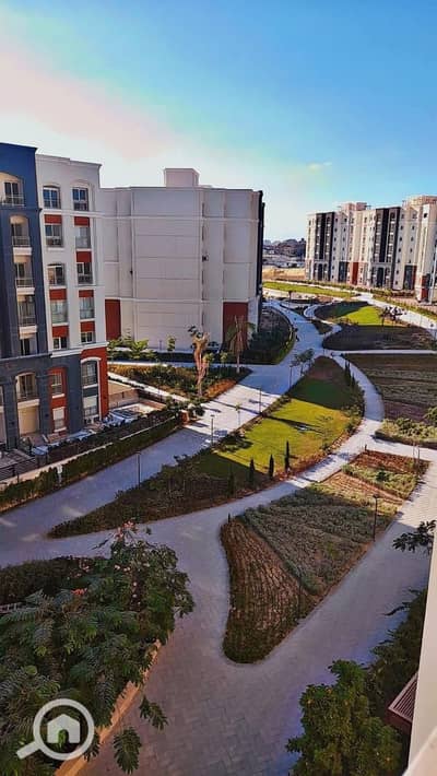 3 Bedroom Apartment for Sale in Agami, Alexandria - IMG-20251015-WA0036. jpg