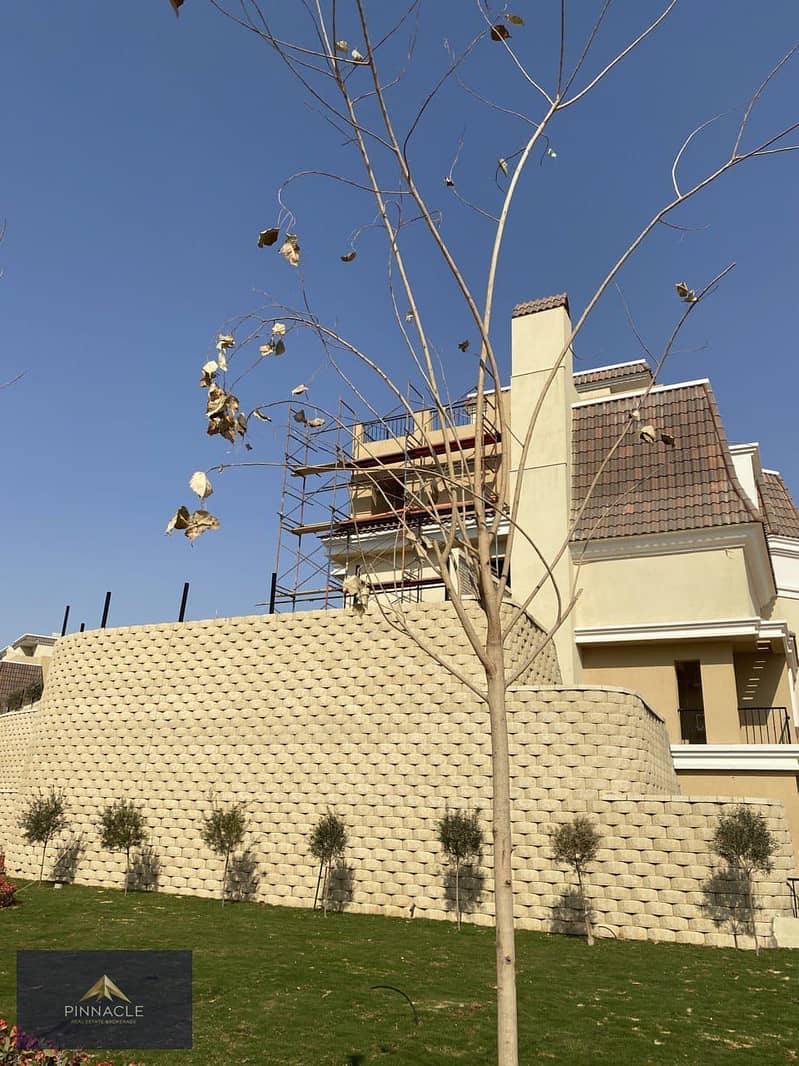 2 WhatsApp Image 2025-08-09 at 20.30. 35_be28973b. jpg