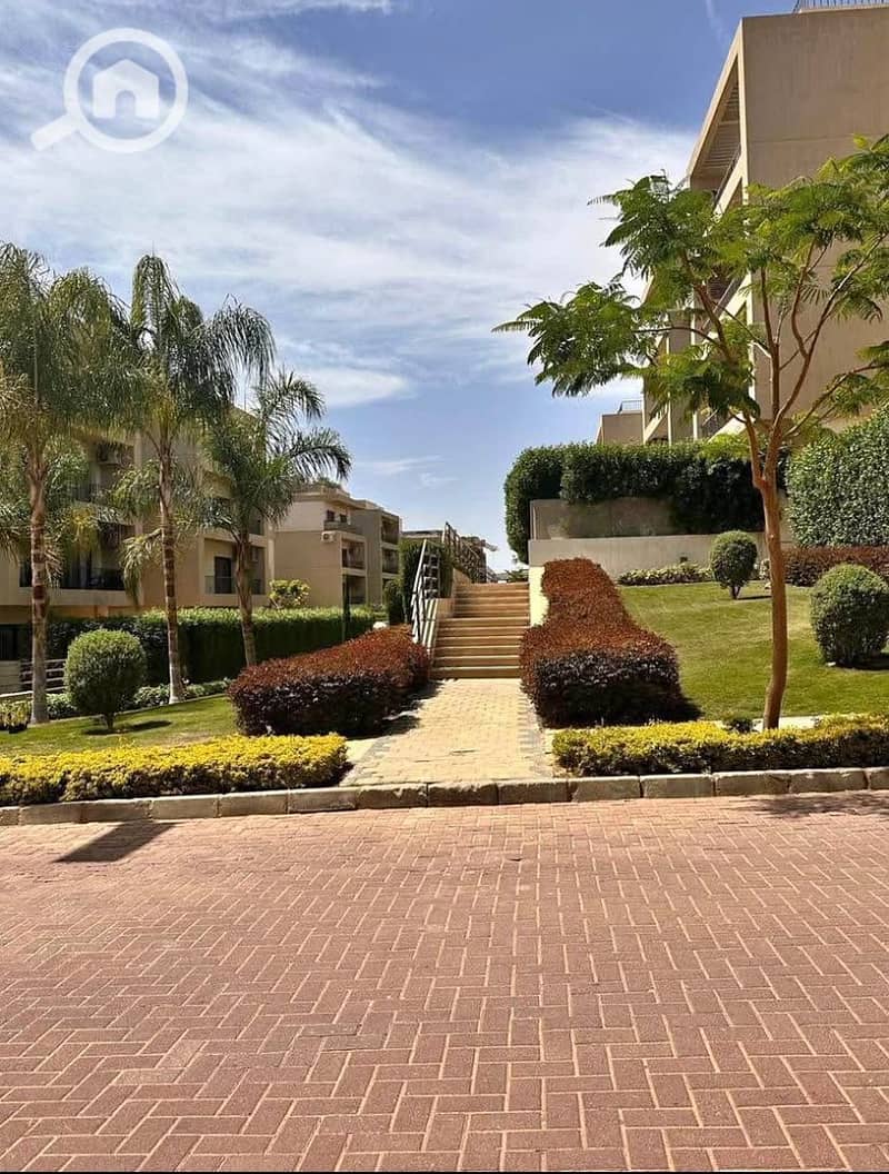 3 7f11db6f-def1-4038-b8b1-ef215ed621fb. jpg