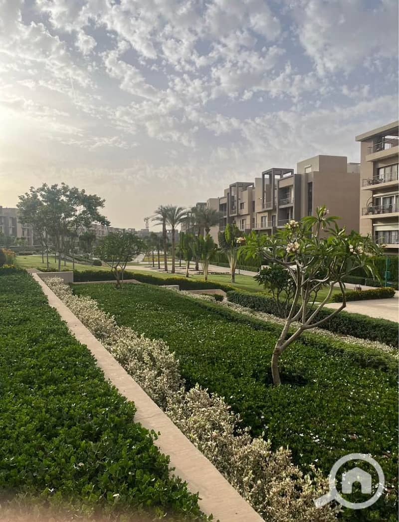 4 9c985480-60ef-4533-bb10-bc7151dd8de4. jpg