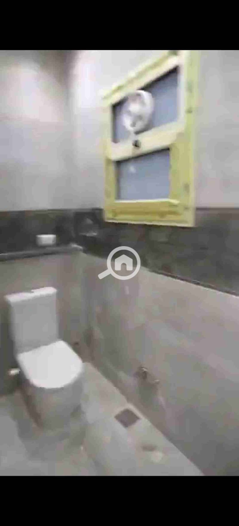 4 54970. jpg