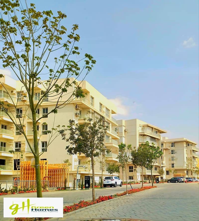 8 WhatsApp Image 2025-04-12 at 5.07. 08 PM. jpeg