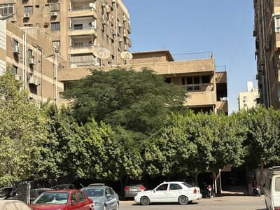 6 Bedroom Villa for Sale in Nasr City, Cairo - WhatsApp Image 2025-10-19 at 12.26. 31 PM. jpeg