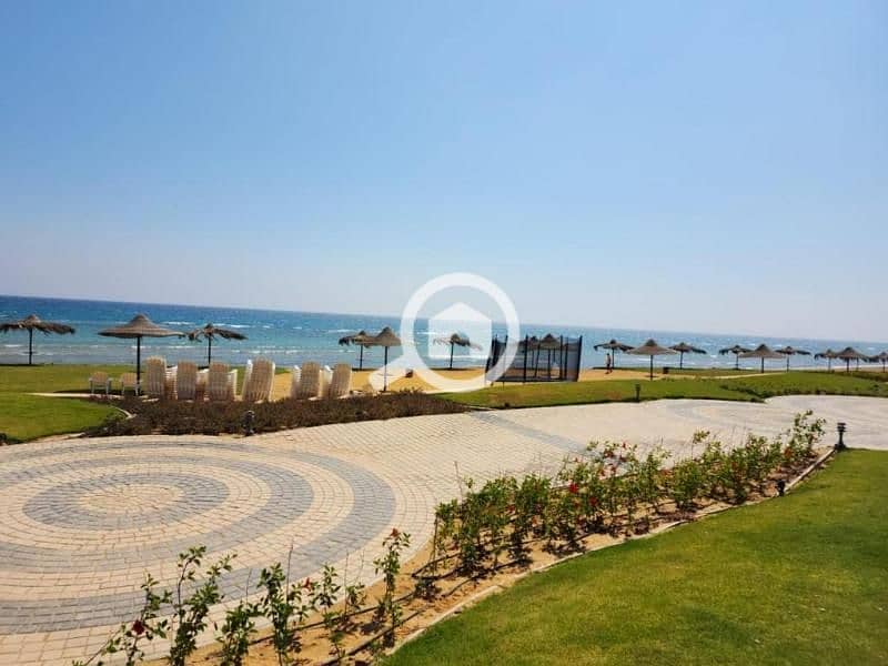 5 474056178 - Copy - Copy - Copy. jpg