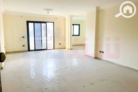 4 Bedroom Apartment for Sale in Smoha, Alexandria - WhatsApp Image 2025-10-14 at 3.57. 20 PM. jpg
