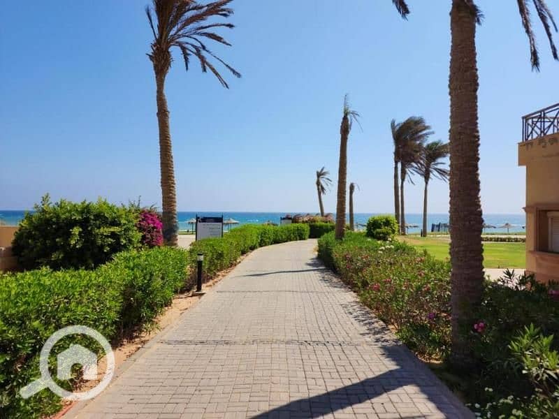 2 474056175 - Copy - Copy - Copy - Copy. jpg