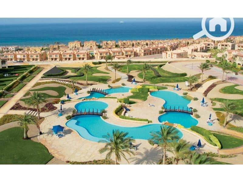 11 f0bdc954-4947-4aab-b74a-fffebe81e498 - Copy. jpg