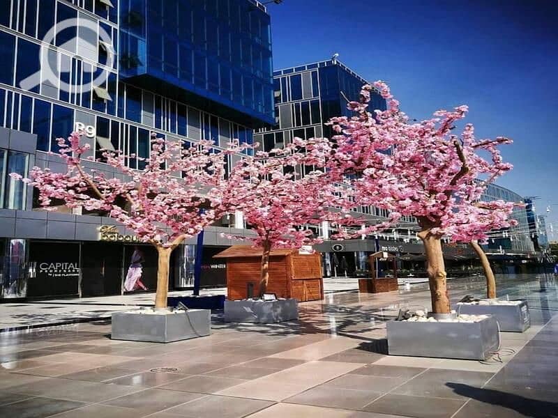 6 WhatsApp Image 2023-02-03 at 9.14. 47 PM. jpeg