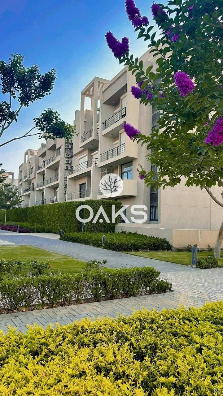 3 WhatsApp Image 2025-10-02 at 13.22. 14_7b0161c1. jpg