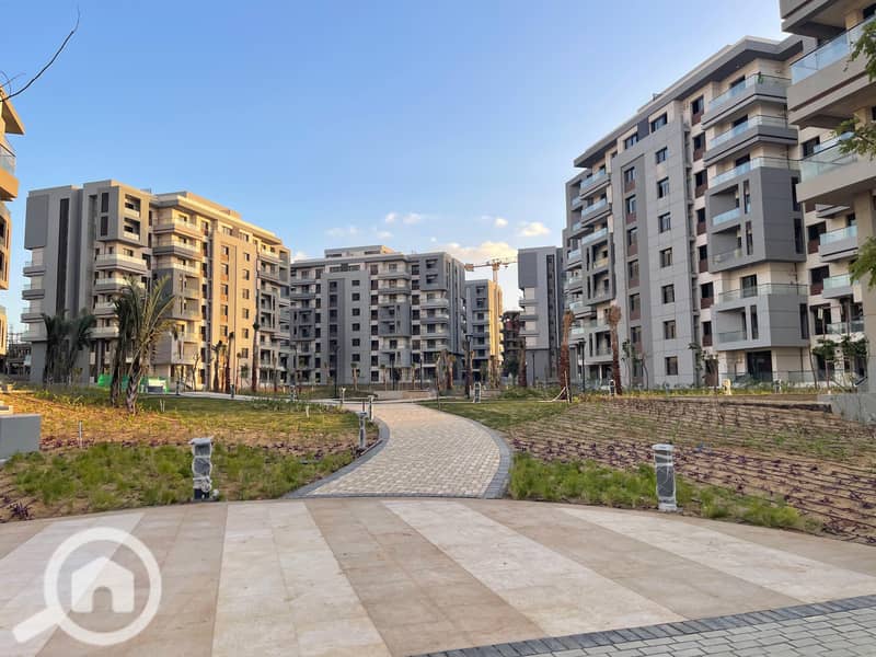 2 العاصمة (21). jpg