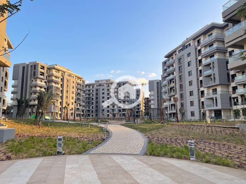 4 العاصمة (22). jpg