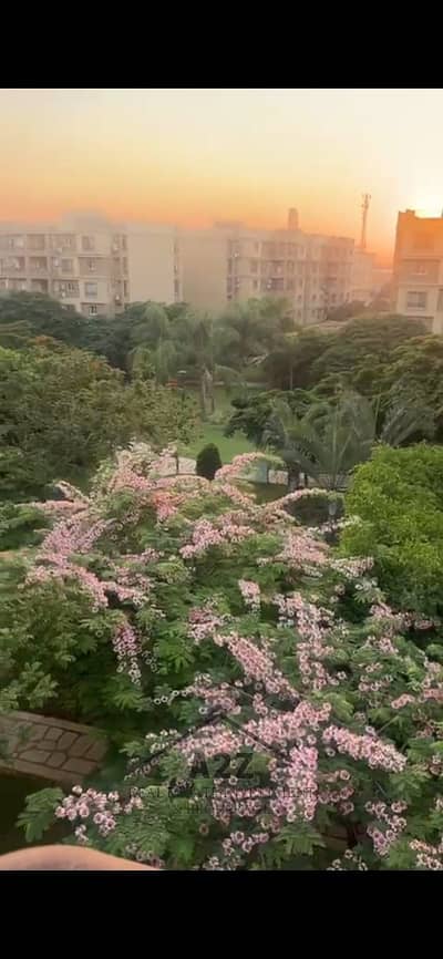 3 Bedroom Flat for Sale in Madinaty, Cairo - WhatsApp Image 2025-10-19 at 5.41. 31 PM. jpeg