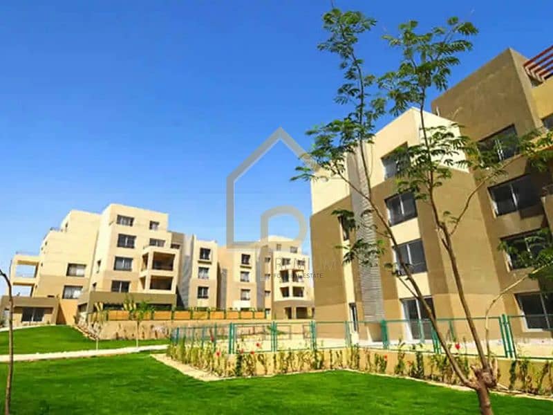 10 palm-park-1667480806. jpg