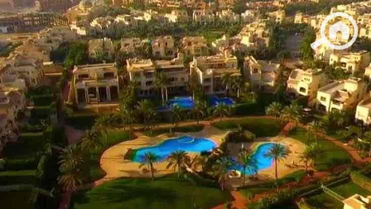 IMG_4811. jpg IMG_4811. jpg