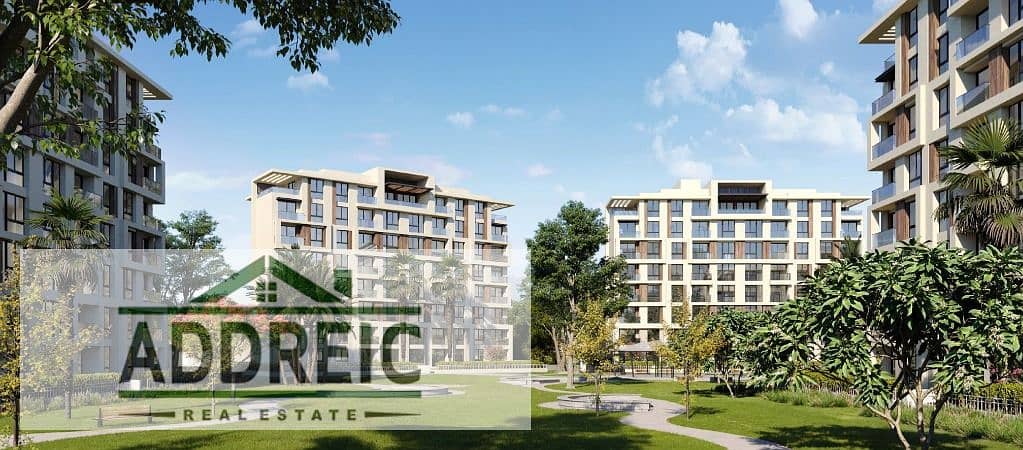 5 WhatsApp Image 2025-10-16 at 14.09. 56_c9da881a. jpg