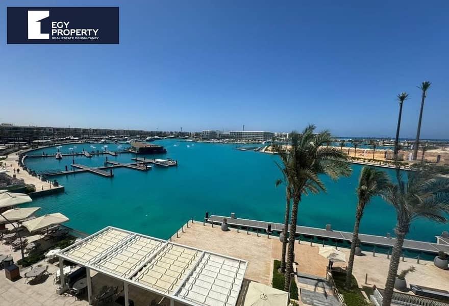 4 cdc1e61b-f5dd-4848-be63-3c65fe7ed59b. jpg