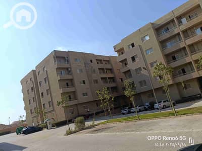 2 Bedroom Flat for Rent in New Cairo, Cairo - 1000106895. jpg