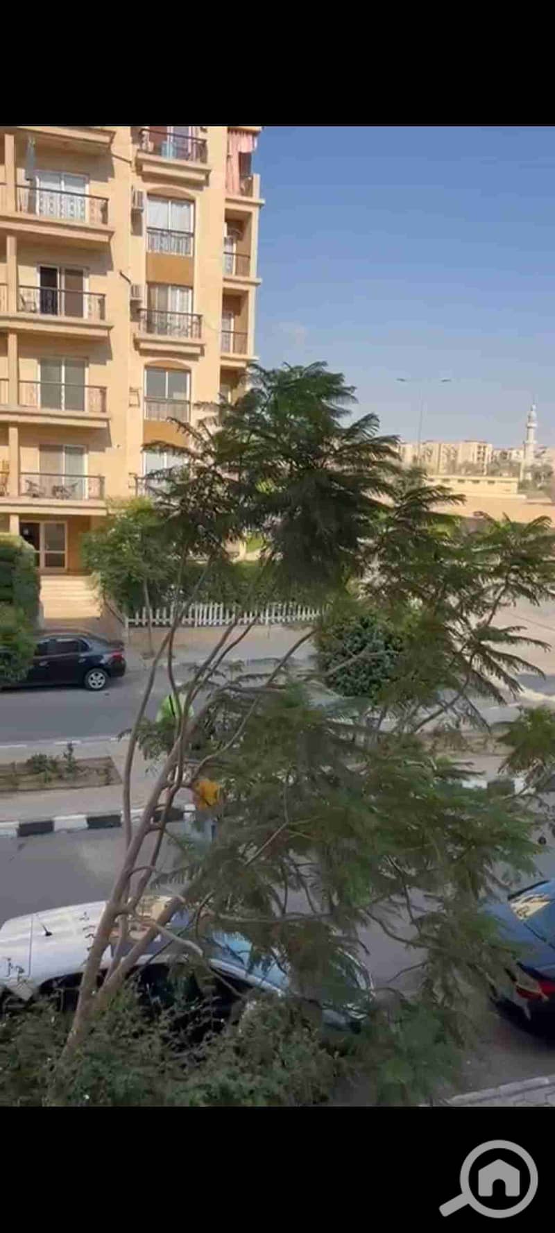 7 1000556378. jpg