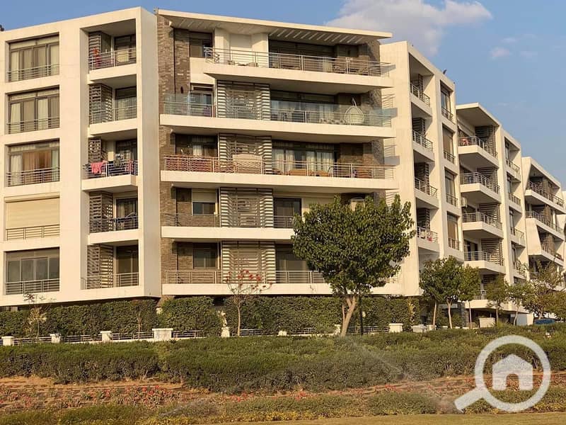 4 WhatsApp Image 2024-03-27 at 22.37. 26_c936e296. jpg