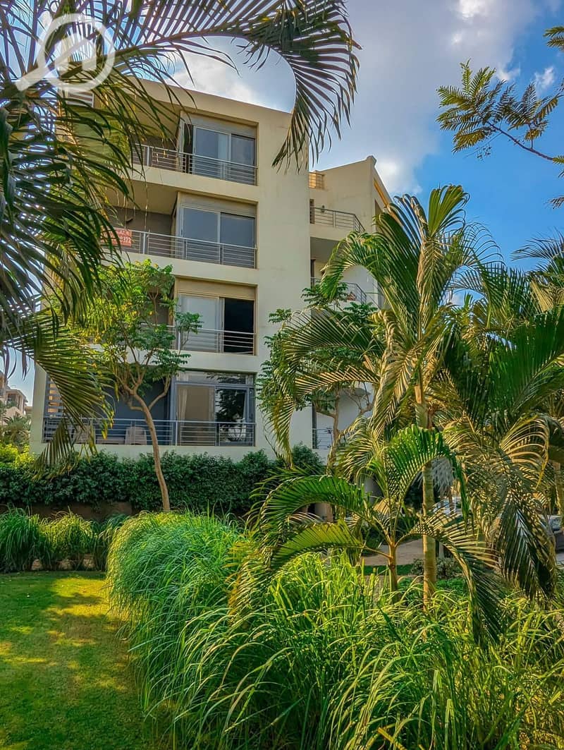 5 WhatsApp Image 2024-11-23 at 19.41. 29_07c47a3a. jpg