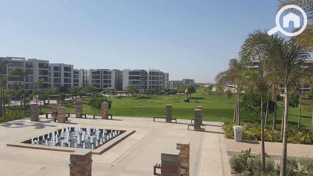 6 350146124_1236214863935695_247738432796063389_n. jpg