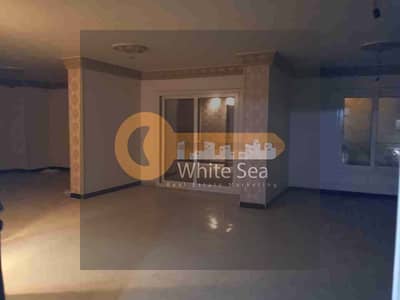 Office for Rent in Bolkly, Alexandria - 1000785473. jpg