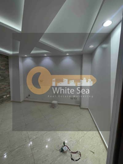 مکتب  للايجار في سبورتنج، الإسكندرية - 1000784386. jpg