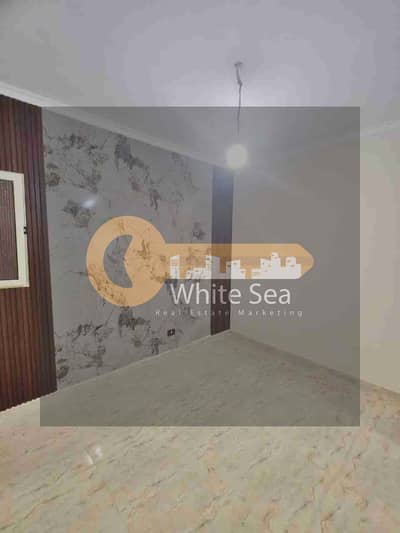 Office for Rent in Sporting, Alexandria - 1000787449. jpg
