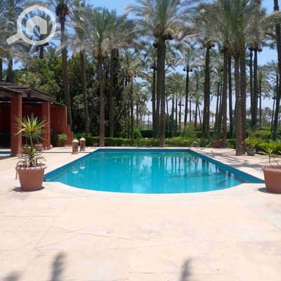 فیلا 11 غرف نوم للبيع في المنصورية، الجيزة - IMG-20251007-WA0054. jpg