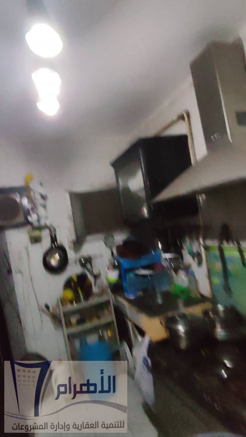 10 562257728_1115440277400839_192531388330541428_n. jpg