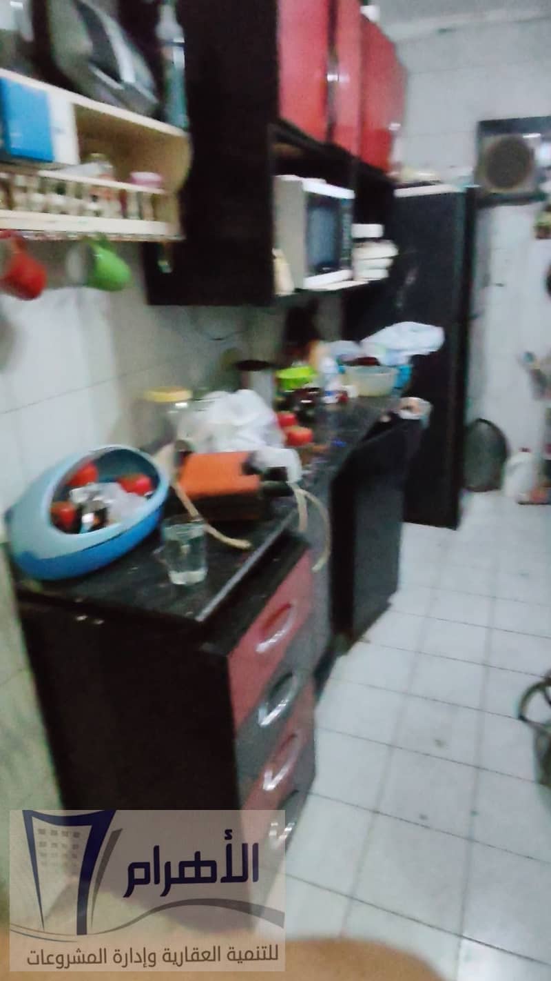 11 558095141_1115440377400829_1909118654037865870_n. jpg