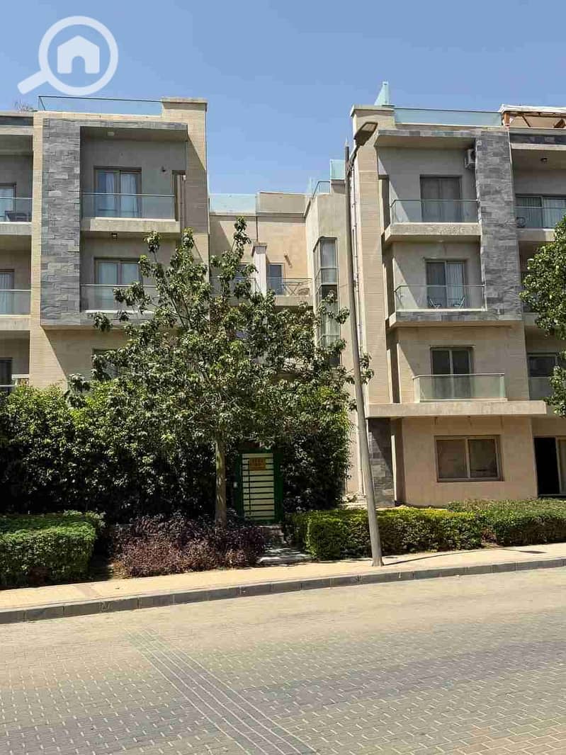 9 IMG_20250905_230233_924. jpg