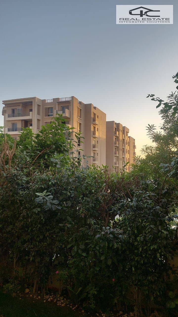 8 WhatsApp Image 2025-10-15 at 14.10. 28. jpeg