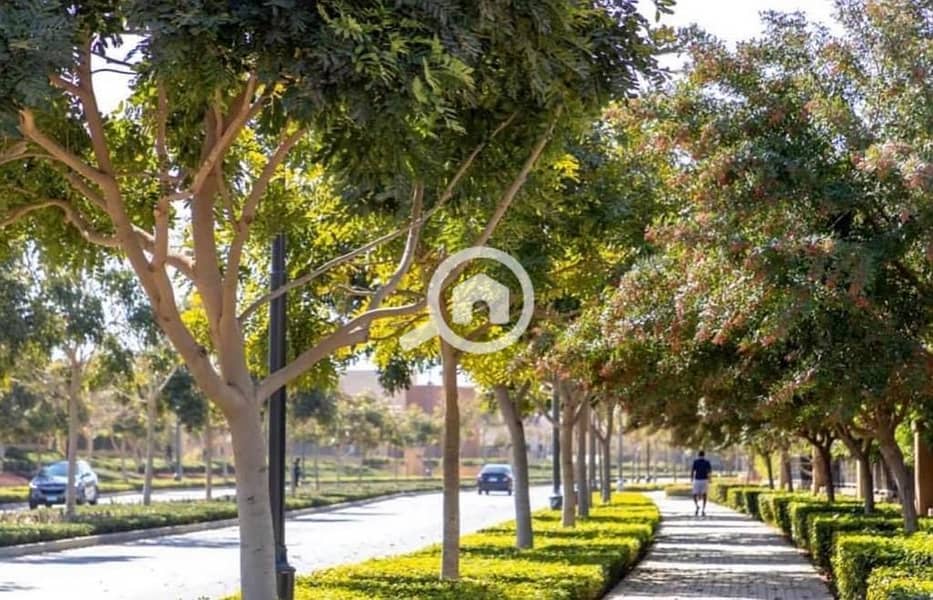 11 WhatsApp Image 2025-10-09 at 12.13. 17 PM (3). jpeg