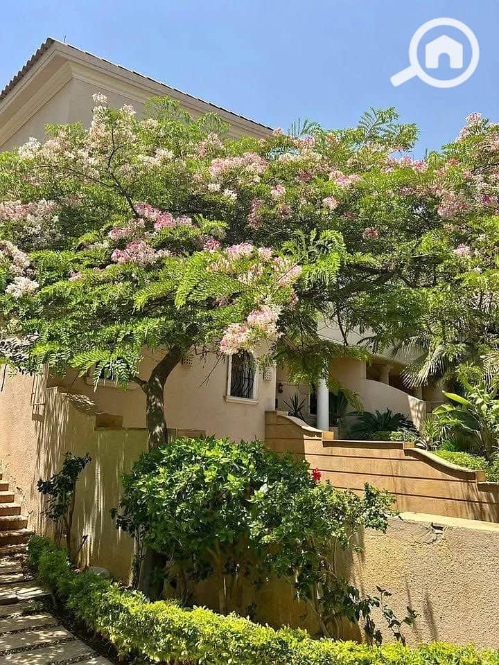 4 506686962_9994417794012038_1748675387468767072_n. jpg