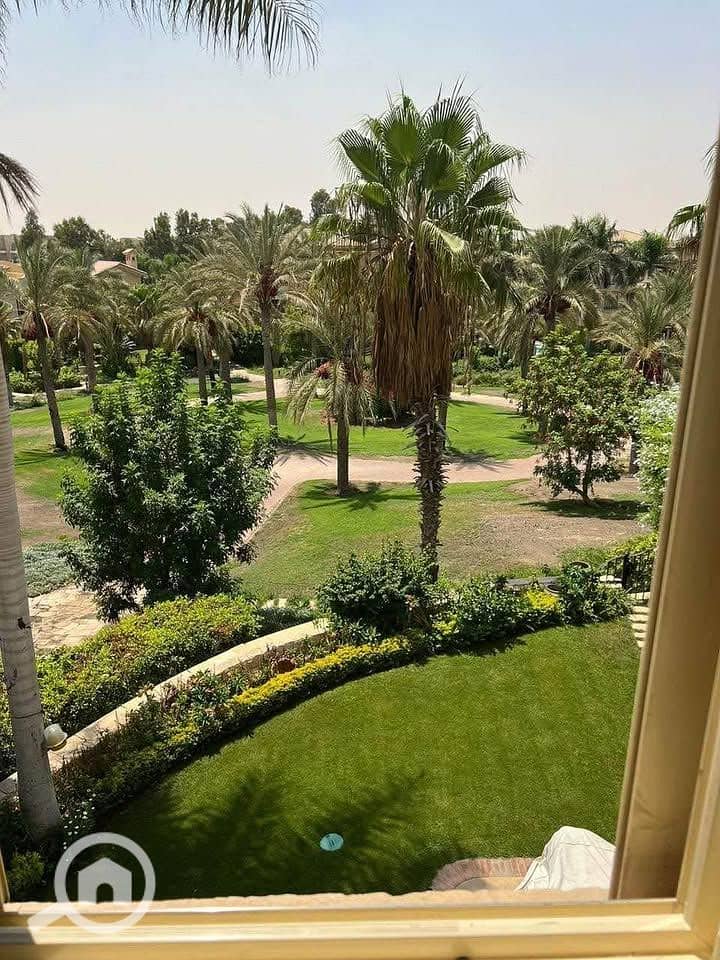 6 506946607_1376242690260514_4225935556981367695_n. jpg