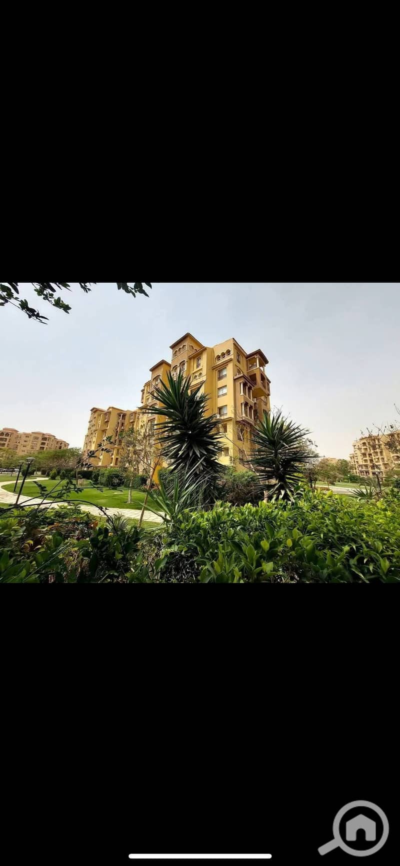 IMG_7079. png IMG_7079. png