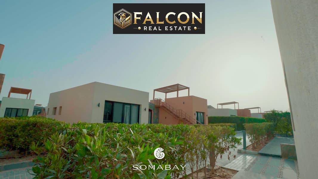 7 924a90c7-b2bb-45a7-9084-62e04fbd9cfc. jpg