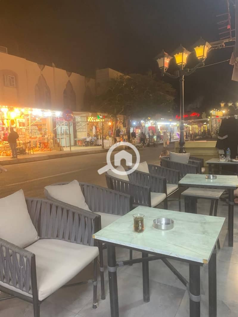 2 sharm bob and city tour 2. jpg