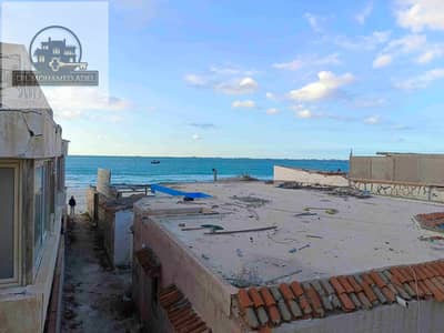 فلیٹ 2 غرفة نوم للايجار في عجمي، الإسكندرية - 1000077495. jpg