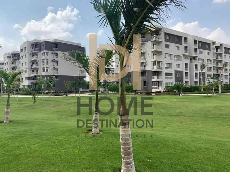 4 WhatsApp Image 2025-10-20 at 11.50. 48_f9b8950f. jpg