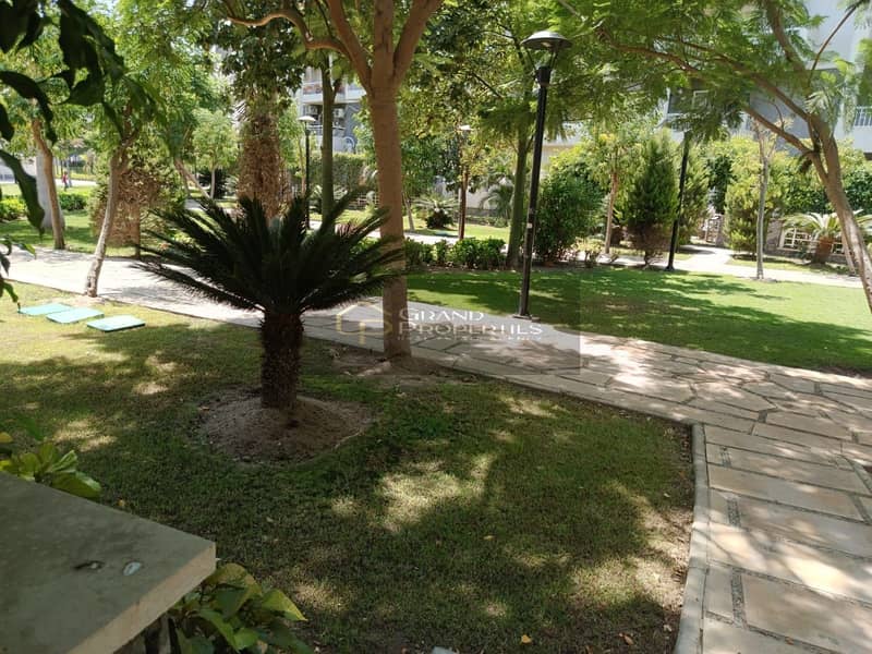 2 7485c6ea-86e4-4e87-9389-db5fe74e788d. jpg