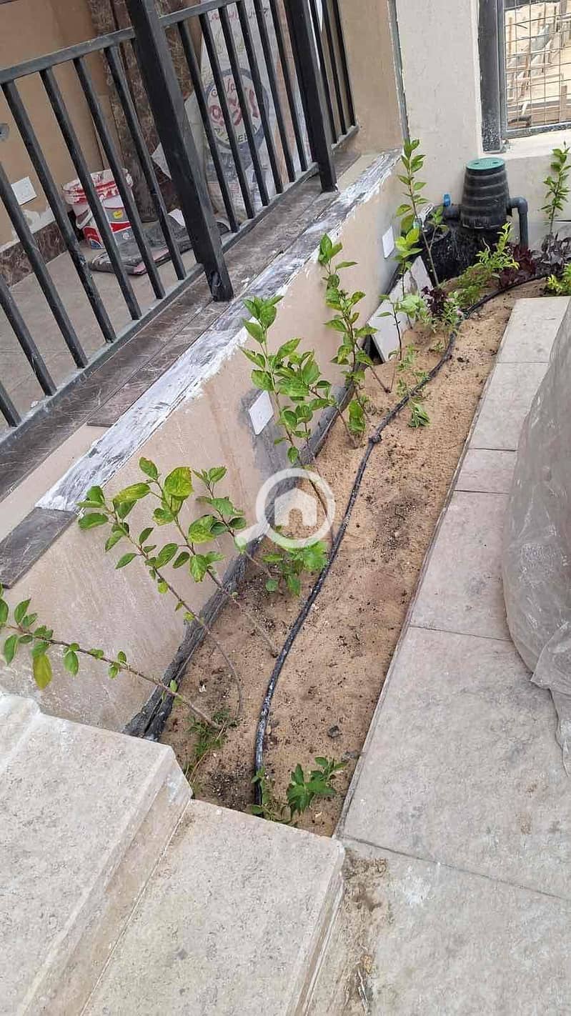 16 6905f3d9-4f57-4ad8-b572-49b500498c87. jpg