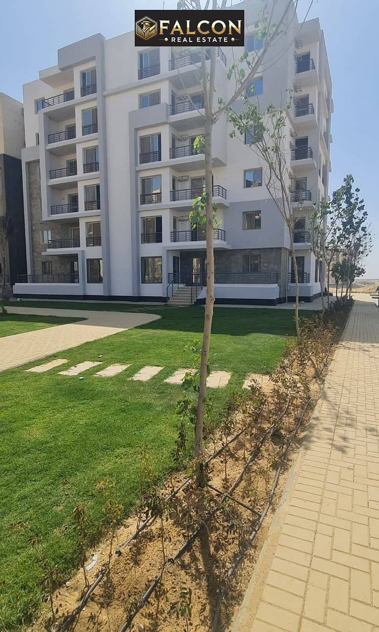 14 WhatsApp Image 2025-10-14 at 16.56. 46_4f5d44be. jpg