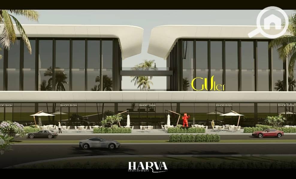 3 photo_2_2025-10-20_13-38-20. jpg