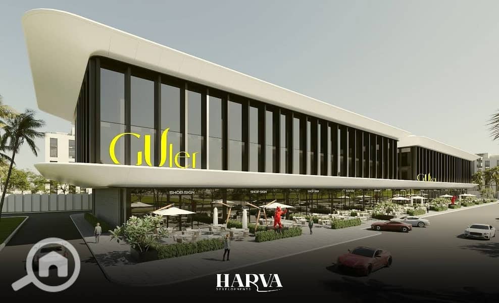 4 photo_4_2025-10-20_13-38-20. jpg