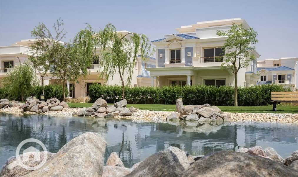 4 501aba58-3d7a-449f-95e8-e1ca7c68c9fb. jpg